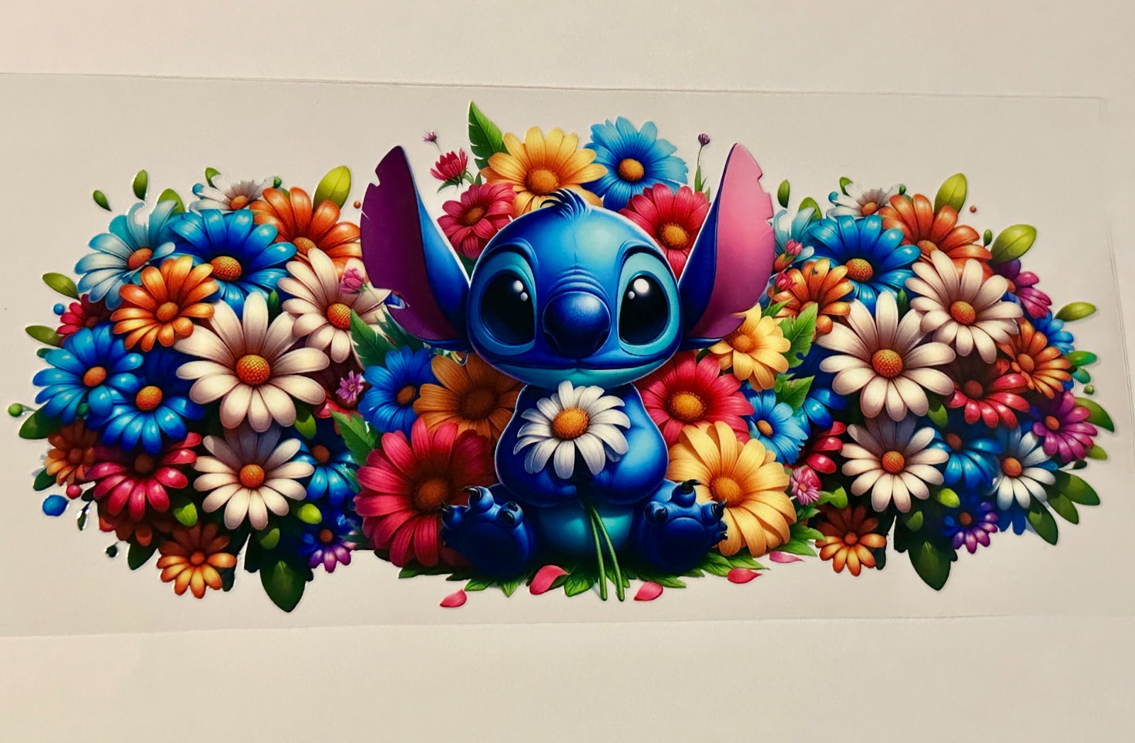 Name 626 and Friends